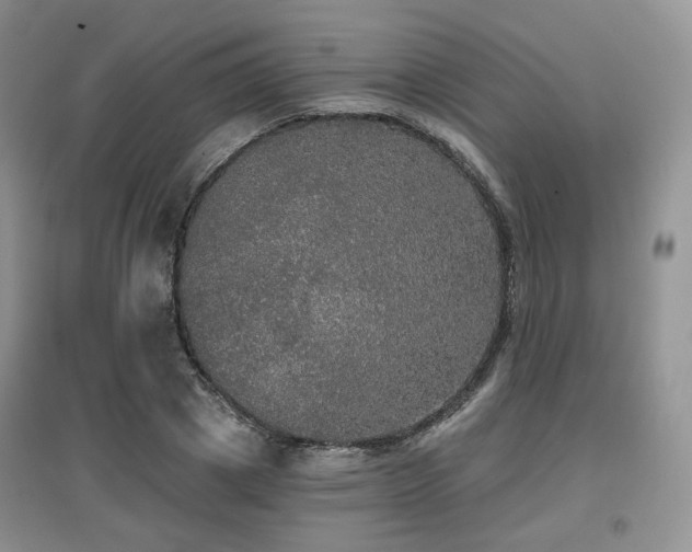 X0000097910833200803141416