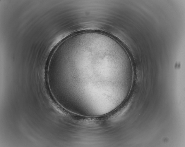 X0000097910834200803141416