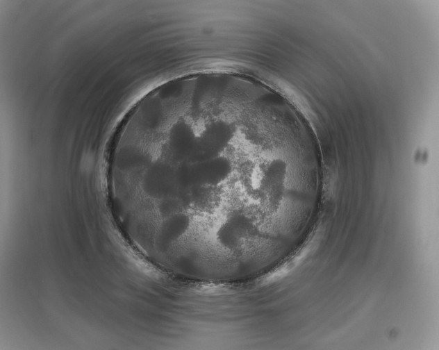 X0000097910835200803141416