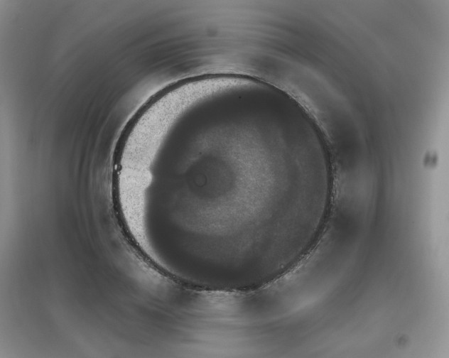 X0000097910836200803141416