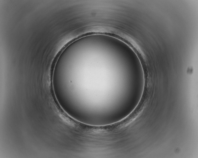 X0000097910837200803141417