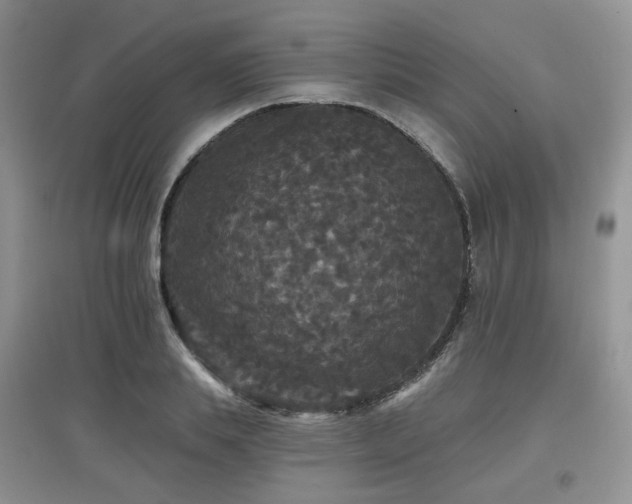 X0000097910839200803141417