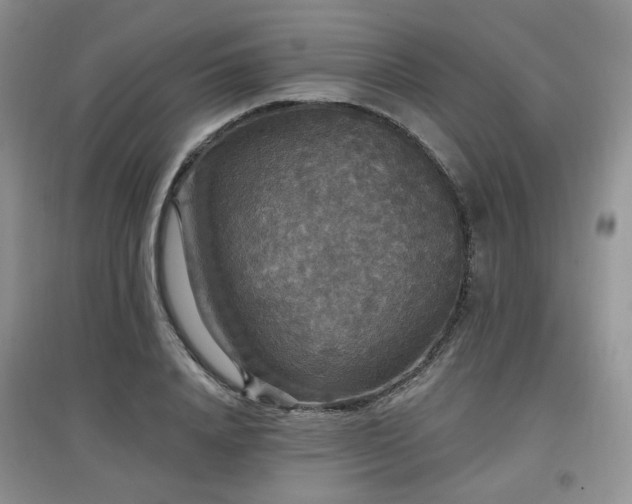 X0000097910840200803141417