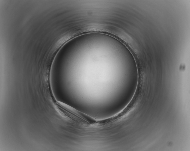 X0000097910841200803141417