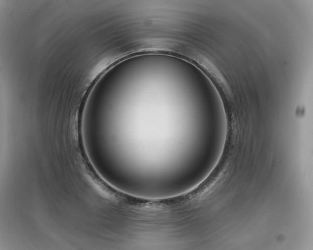 X0000097910842200803141417