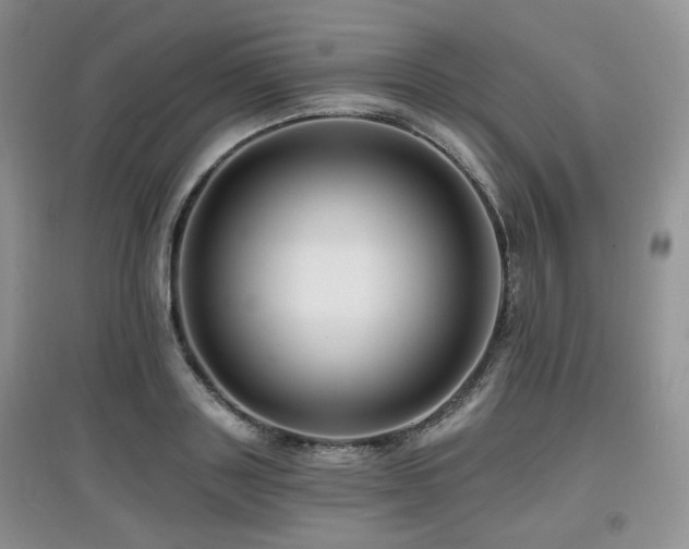 X0000097910843200803141417