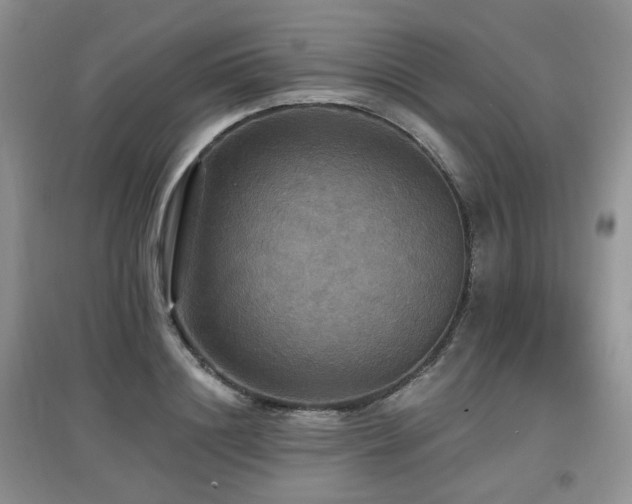 X0000097910844200803141417