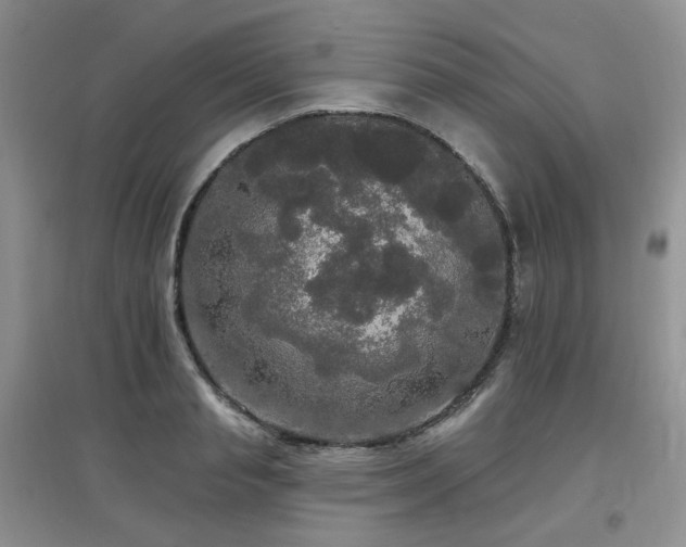 X0000097910845200803141417