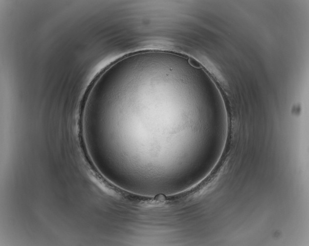 X0000097910846200803141417