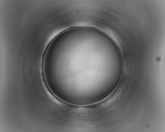 X0000097910847200803141417