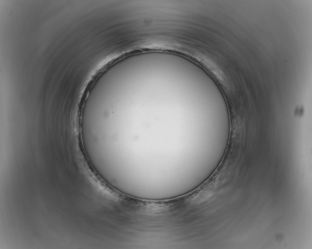 X0000097910848200803141417