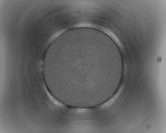 X0000097910849200803141417