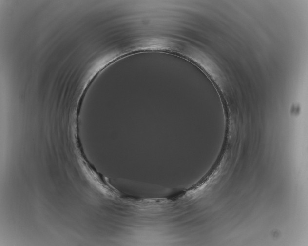 X0000097910850200803141417