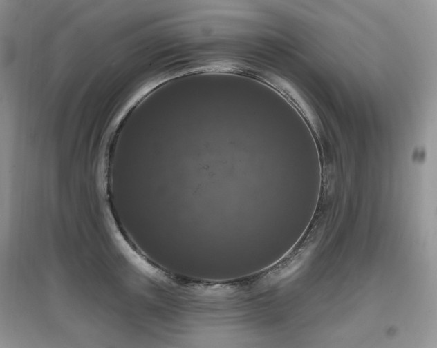 X0000097910851200803141417