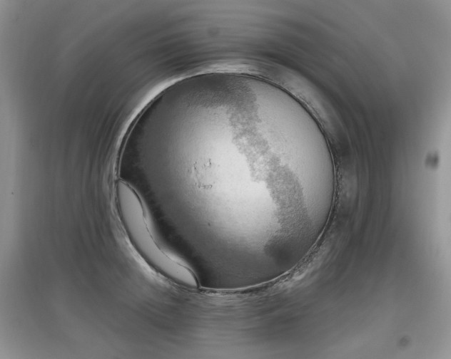 X0000097910852200803141417