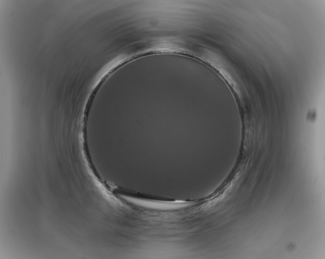 X0000097910853200803141417