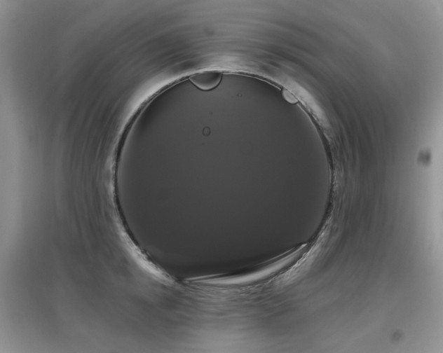 X0000097910854200803141417