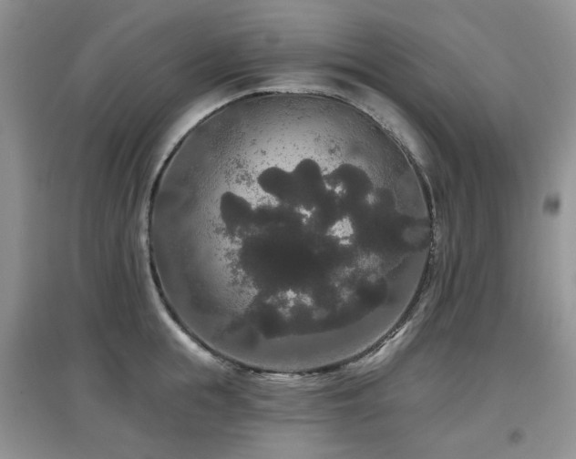 X0000097910855200803141417