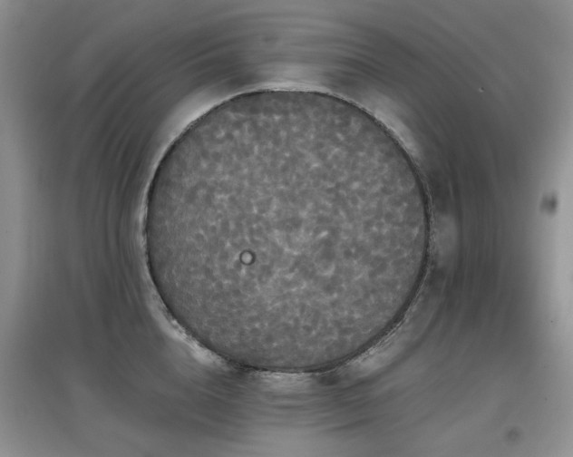 X0000097910856200803141417