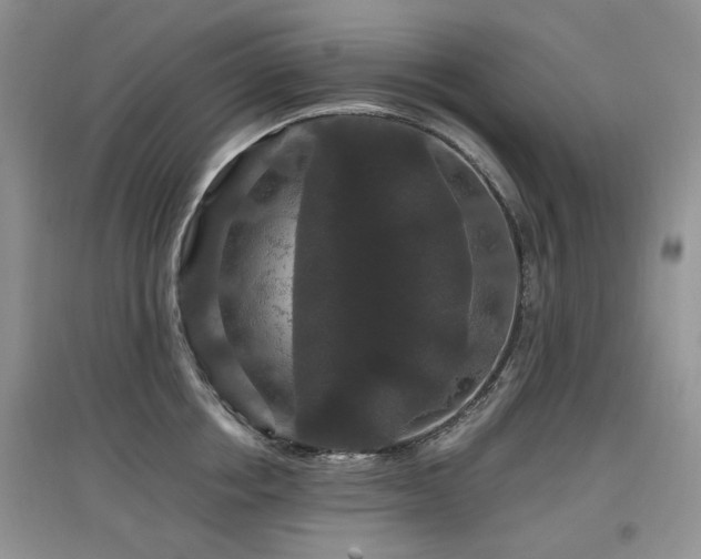 X0000097910858200803141417