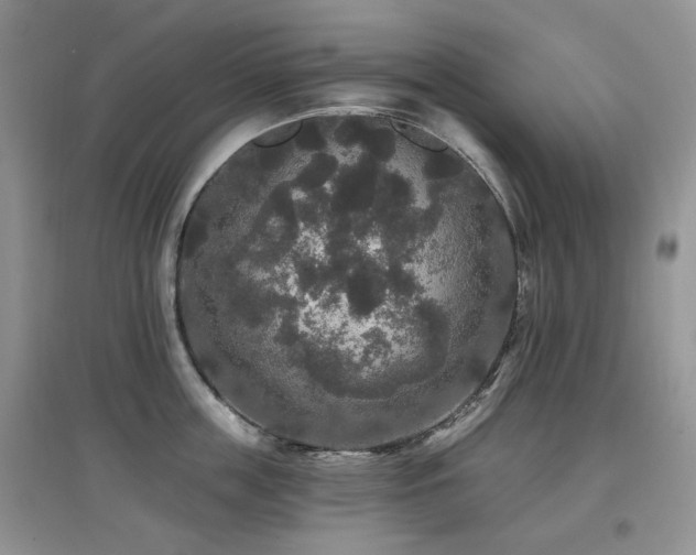 X0000097910859200803141417