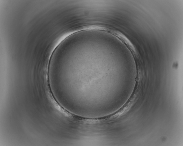 X0000097910860200803141417