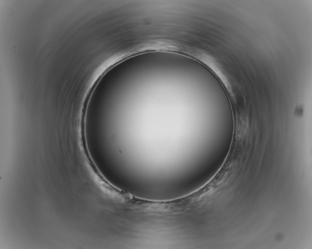 X0000097910861200803141417