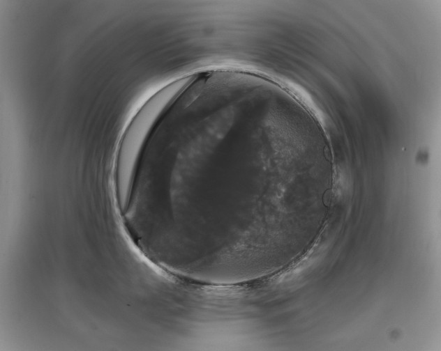 X0000097910863200803141417