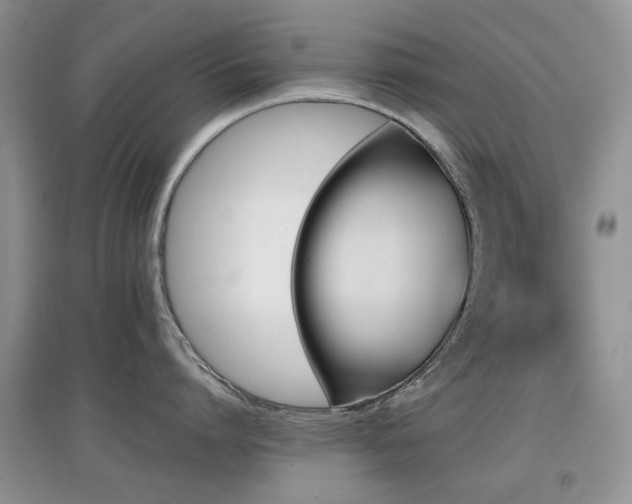 X0000097910864200803141417