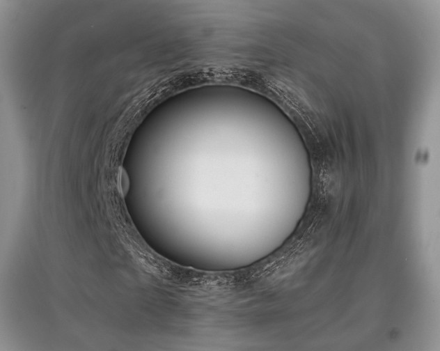 X0000097910865200803141416