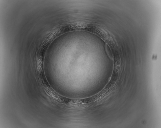 X0000097910866200803141416