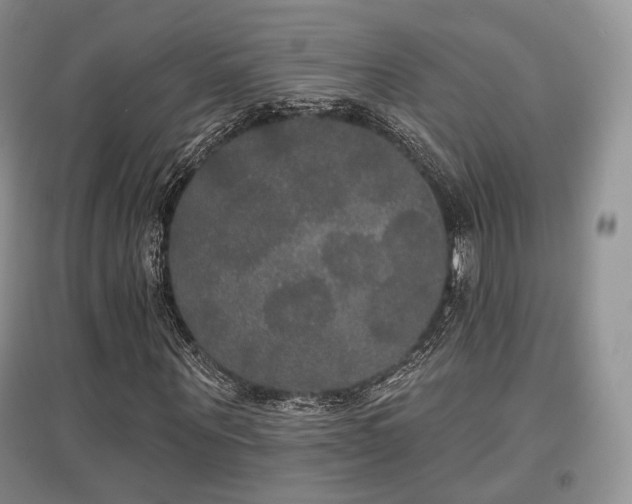 X0000097910867200803141416