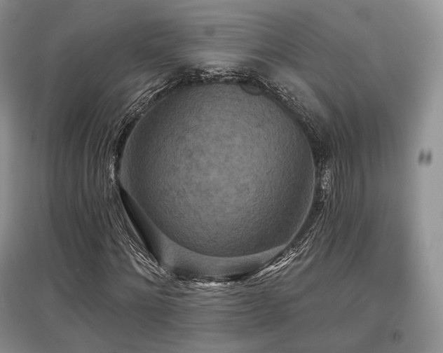 X0000097910868200803141416