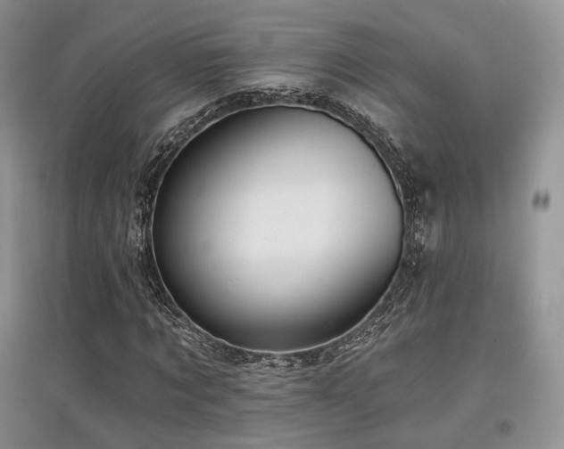 X0000097910869200803141416