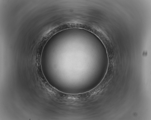 X0000097910870200803141416