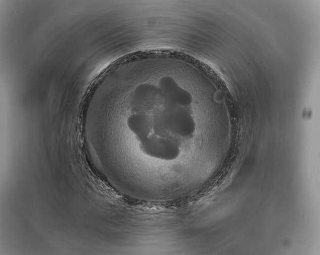 X0000097910871200803141416