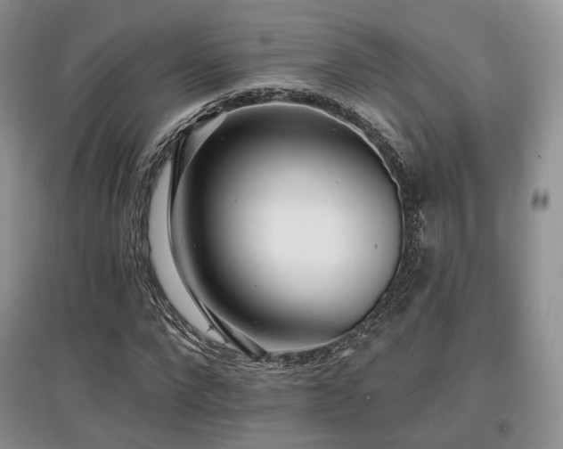 X0000097910872200803141416