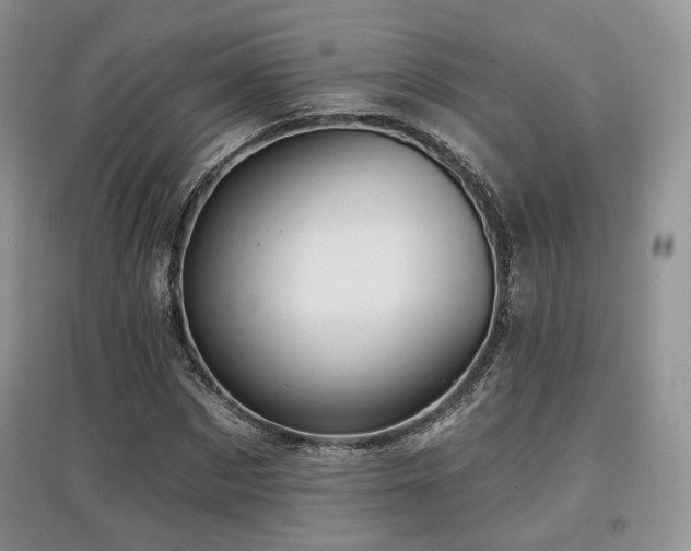 X0000097910873200803141416