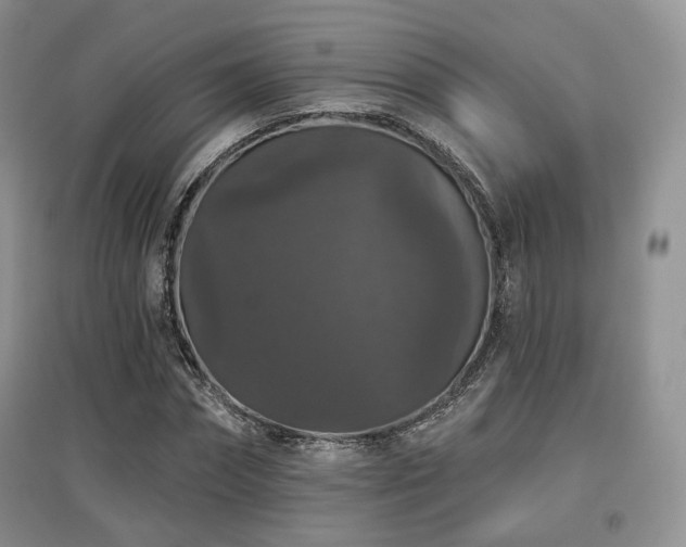 X0000097910874200803141416