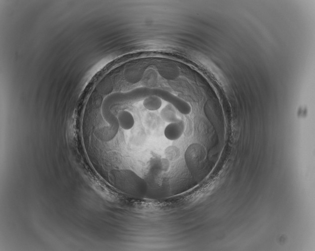 X0000097910875200803141416