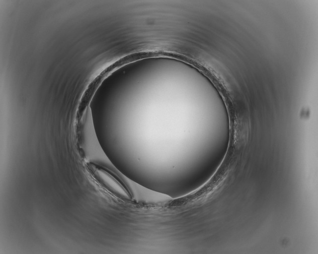 X0000097910876200803141416