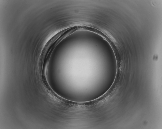 X0000097910877200803141416