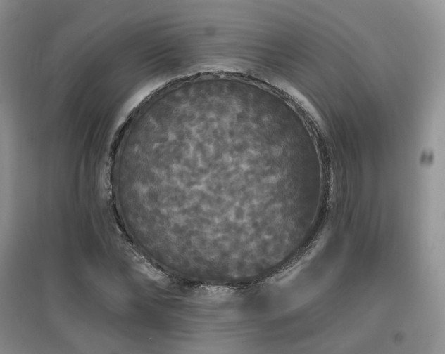 X0000097910878200803141416