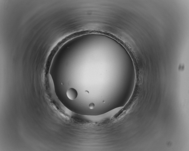 X0000097910880200803141416