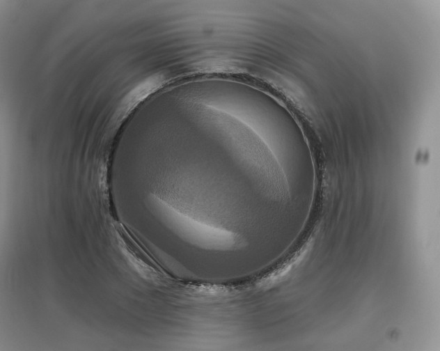 X0000097910881200803141416