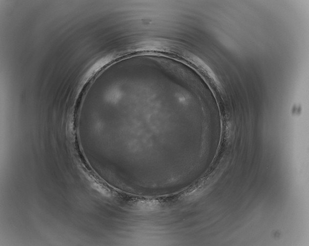 X0000097910882200803141416