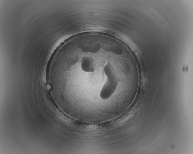 X0000097910883200803141416