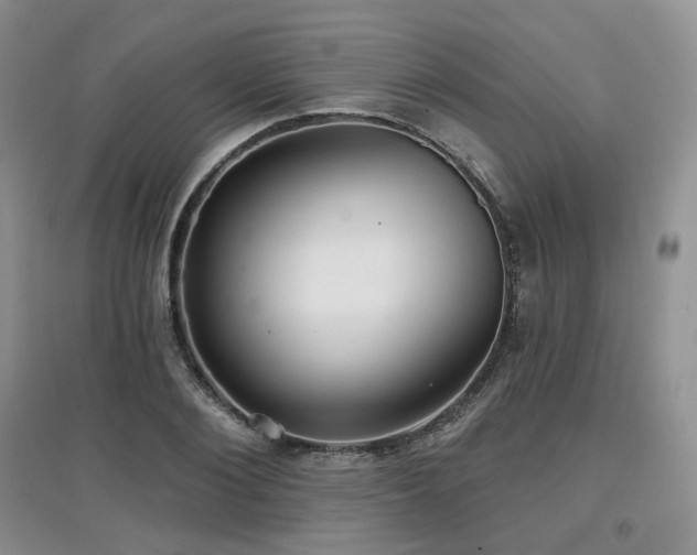 X0000097910884200803141416