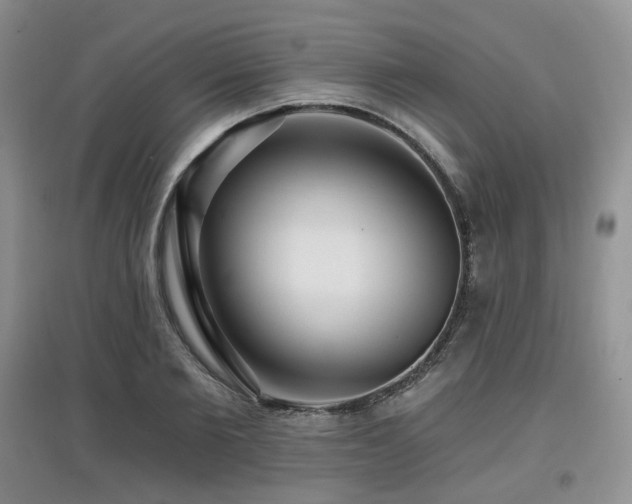 X0000097910885200803141416