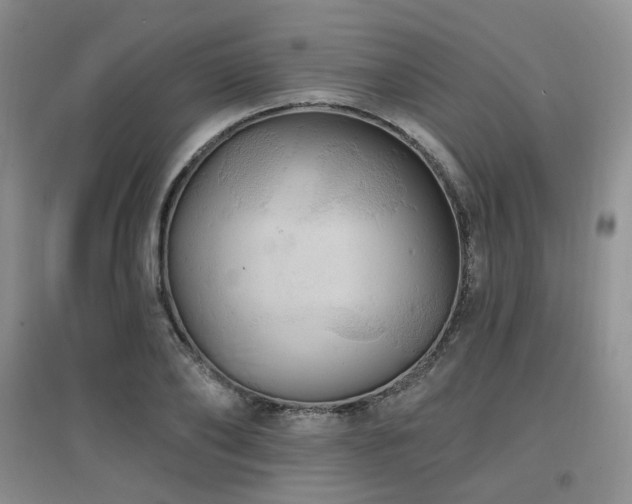 X0000097910886200803141416